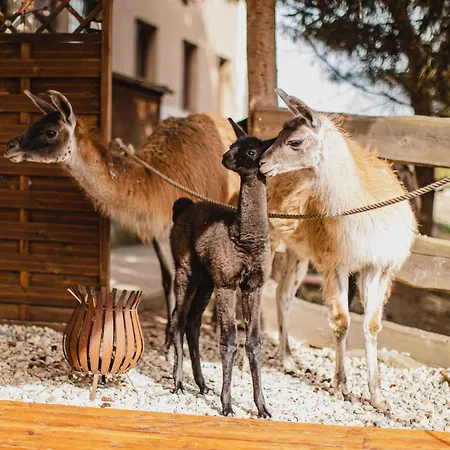 Hotel Rozkos Ceska Skalice