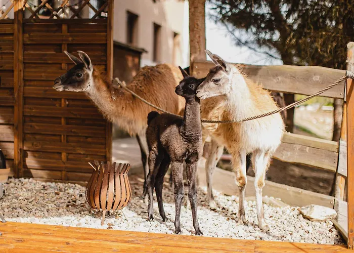Hotel Rozkos Ceska Skalice